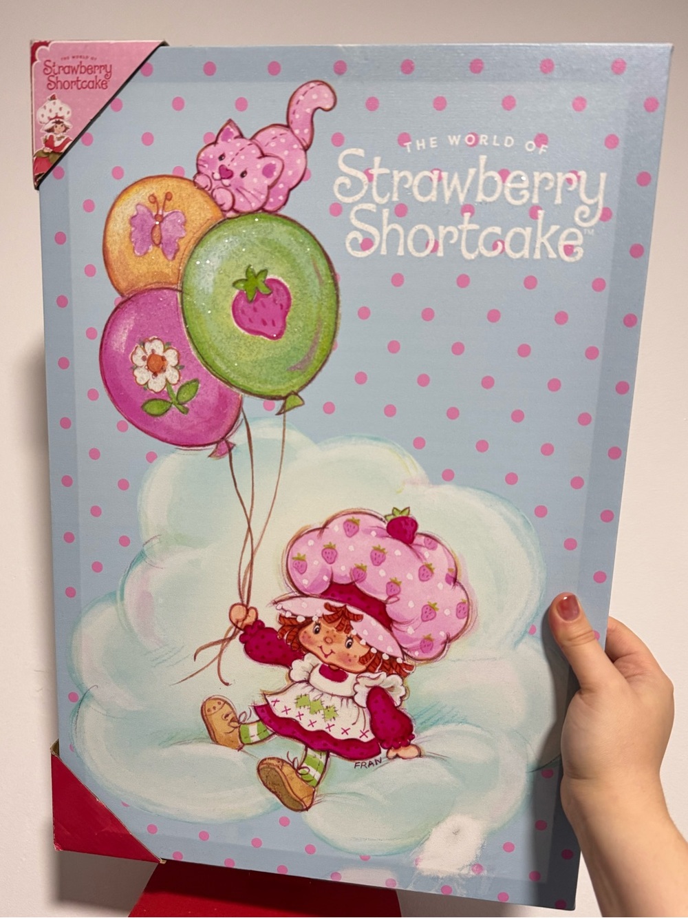 Strawberry Shortcake Wall Frame Art
